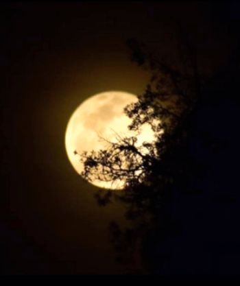 La Luna llena en México