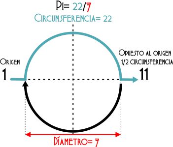 El once como medio circulo
