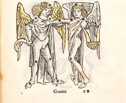 Los atributos de los gemelos Cátor y Pólux