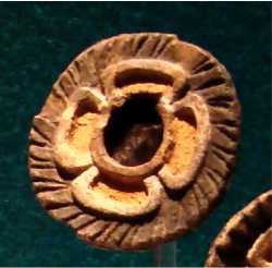 Flor prehispánica símbolo del sol y del tiempo