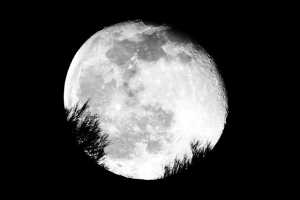 Vista de la luna naciente